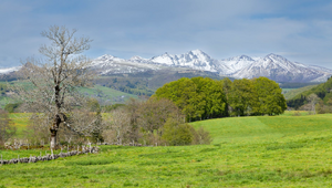 Réparation Voiture Mont-de-Marsan